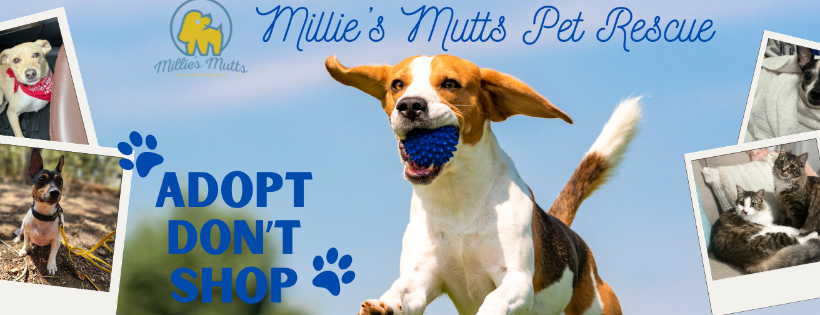 Millie's Mutts