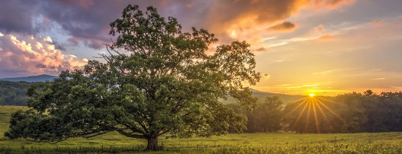 Foothills Conservancy of North Carolina, Inc.