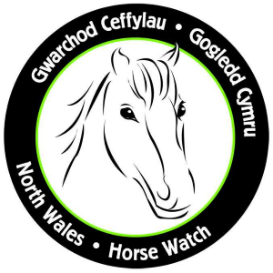 North Wales Horse Watch