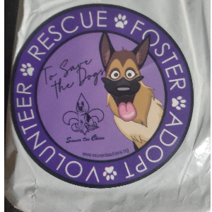 Sauver Des Chiens German Shepherd Rescue