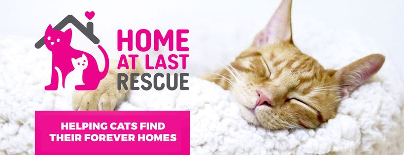 Home at Last Rescue