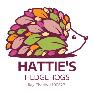 Hattie's Hedgehogs Logo