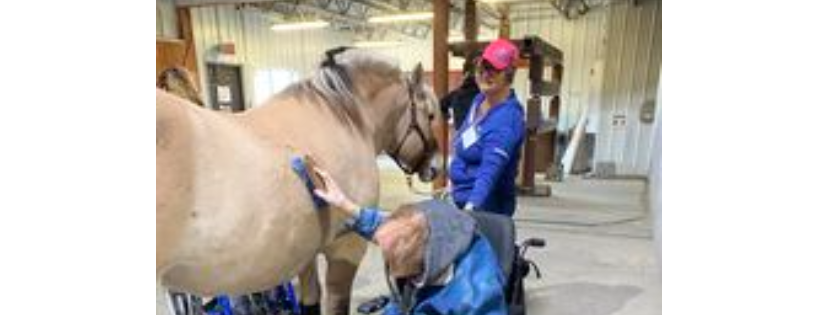 Opening Gaits Therapeutic Riding Society of Calgary
