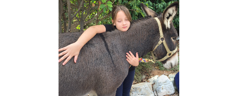 The Donkeys of the Heart