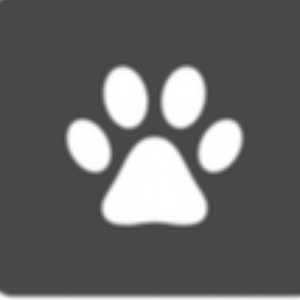 Saving Animals International