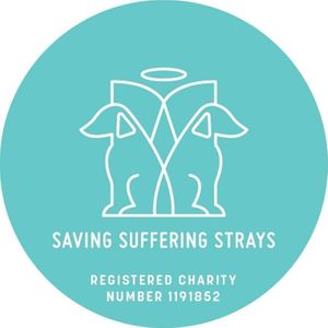 Saving Suffering Strays