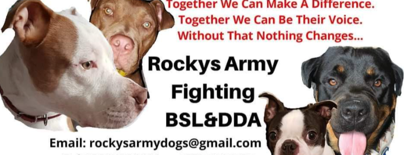 Rockys army fighting BSL & DDA