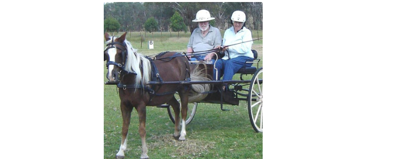 Riding for the Disabled Association NSW