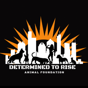Determined To Rise Animal Foundation