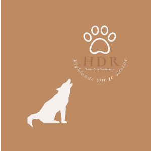 Highlands Dingo Rescue Ltd Logo