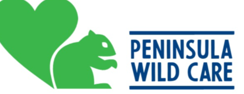 PENINSULA WILD CARE