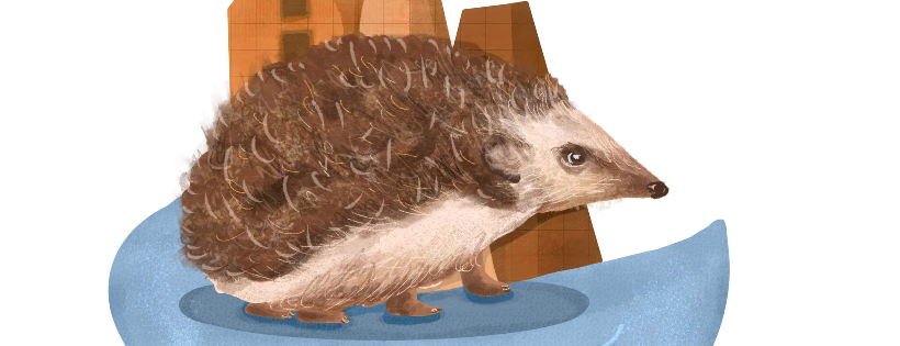 Hedgepigs and Hoglets Rescue