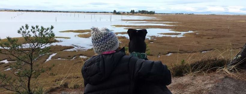 Norfolk Greyhound Rescue