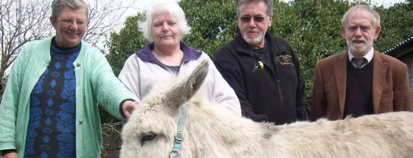 Kerry SPCA