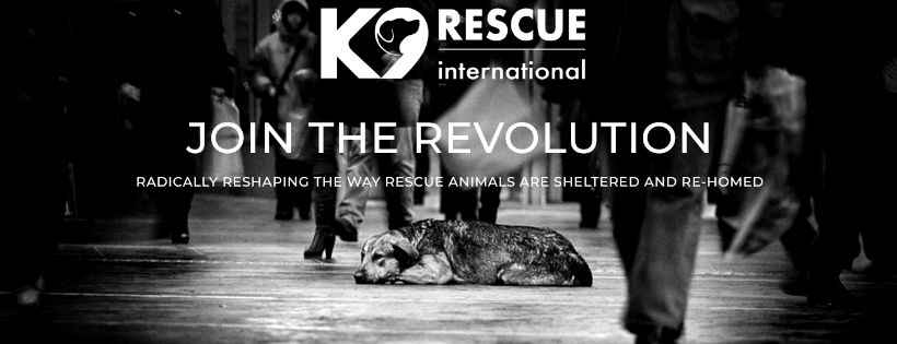 K9 Rescue International