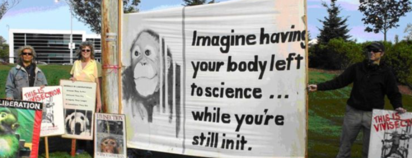 Stop Animal Exploitation NOW!