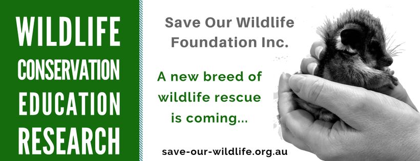 Save Our Wildlife Foundation Inc
