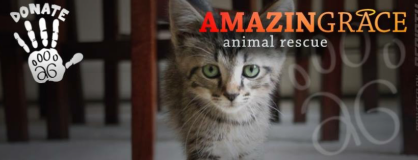 Amazing Grace Animal Rescue