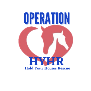 Operation Hold Your Horses, Inc Logo