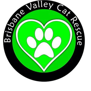 Brisbane Valley Cat Rescue Inc Logo