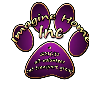 Imagine Home Logo