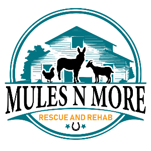 Mules N More Rescue and Rehab Logo
