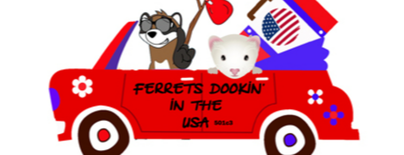 Ferrets Dookin in the USA