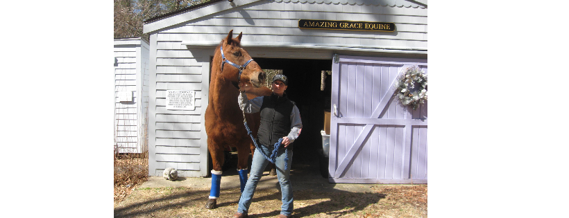 Amazing Grace Equine