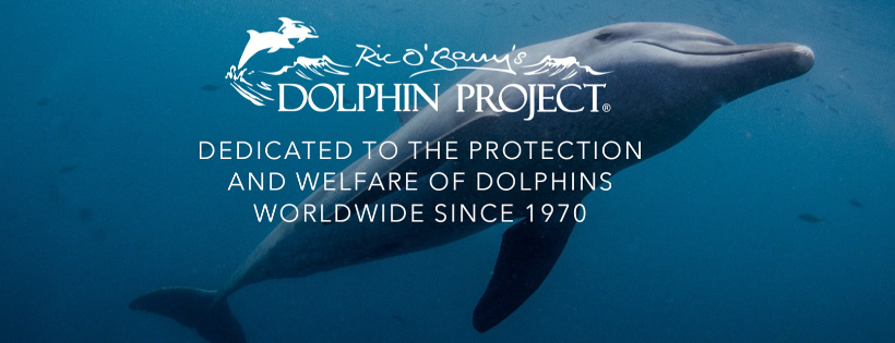 Ric O'Barry's Dolphin Project