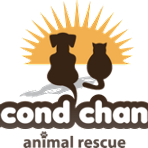 Second Chance Animal Rescue Inc
