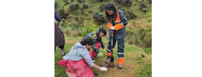Nature School NZ Trust