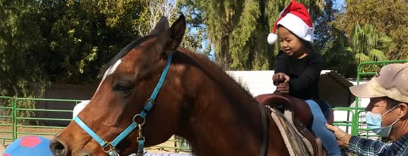 Lennon Equine Therapy