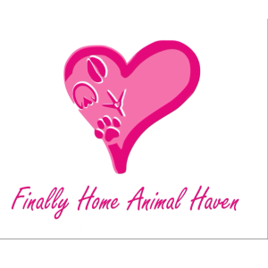 Finally Home Animal Haven Logo