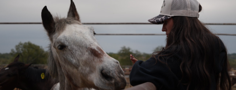 The Gifted Equine