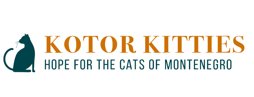 Kotor Kitties