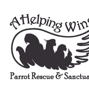 A Helping Wing Logo