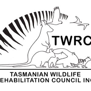 Tasmanian Wildlife Rehabilitation Council Inc Logo