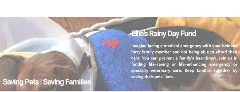 ELLIE'S RAINY DAY FUND, INC.