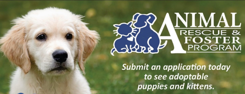 Animal Rescue & Foster Program
