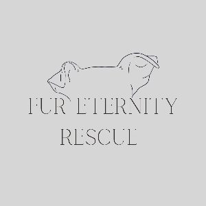 Fur Eternity Inc Rescue