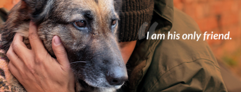 Feeding Pets of the Homeless