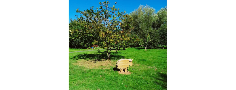Wembdon Parklands &  Community Together