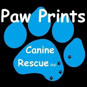 Paw Prints Canine Rescue
