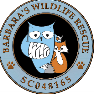 Barbara's Wildlife Rescue