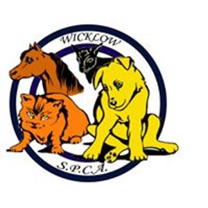 Wicklow SPCA
