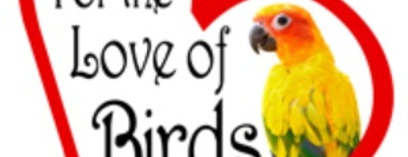 For the Love of Birds