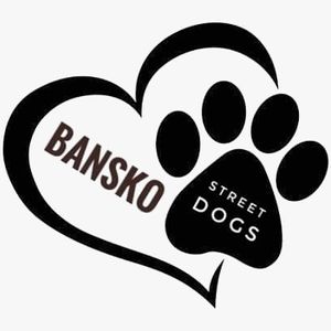 Bansko Street Dogs