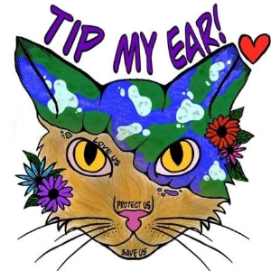 Tip My Ear TNR and Rescue Inc Logo