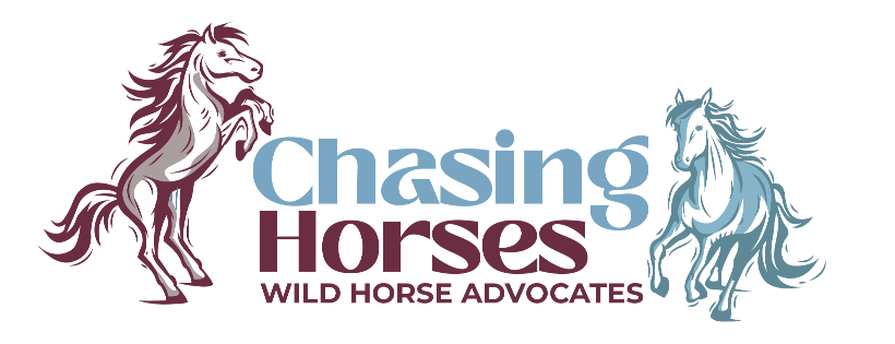 Chasing Horses Wild Horse Advocates