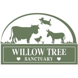 Willow Tree Sanctuary